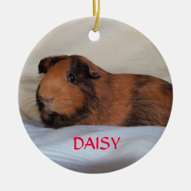 Adorno De Cerámica Daisy (Frente)