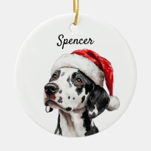 Adorno De Cerámica Dálmata Personalizado