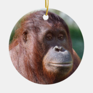Adorno De Cerámica Dama de Orangutan