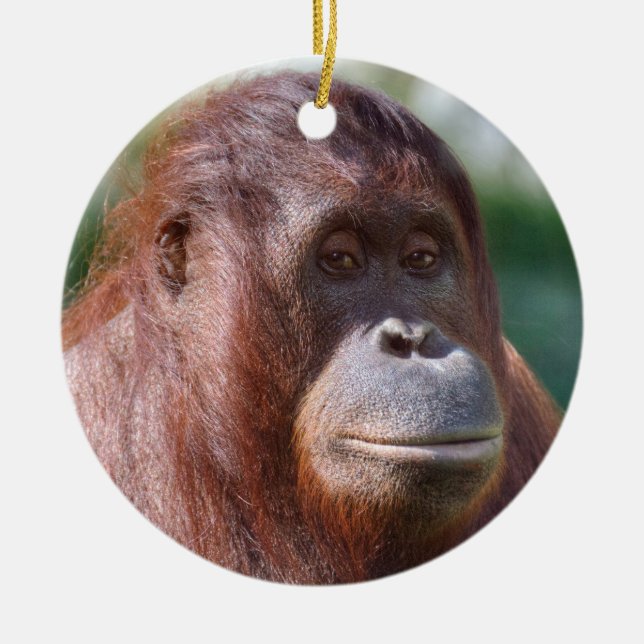 Adorno De Cerámica Dama de Orangutan (Frente)