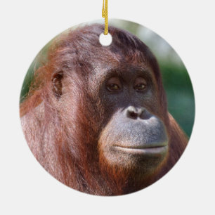 Adorno De Cerámica Dama de Orangutan
