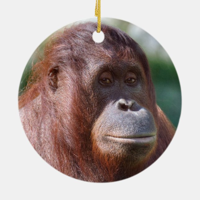 Adorno De Cerámica Dama de Orangutan (Atrás)