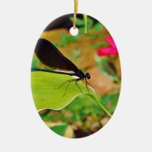 Adorno De Cerámica Damselfly y Rosa