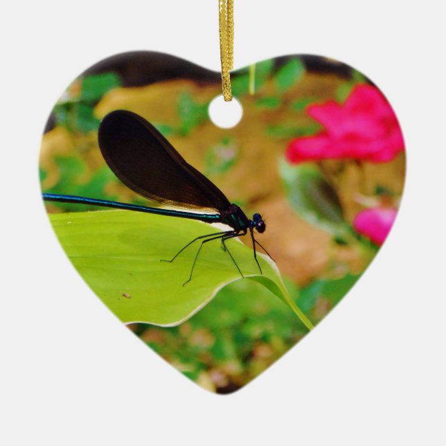 Adorno De Cerámica Damselfly y Rosa (Frente)