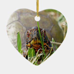 Adorno de cerámica de tortuga de caja