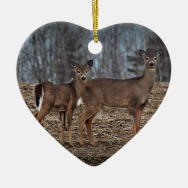 Adorno De Cerámica Deer_0337v (Frente)