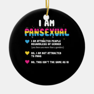 Adorno De Cerámica Definición pansexual - Gracioso orgullo gay LGBT