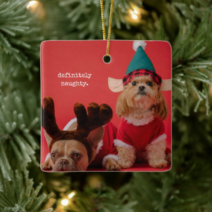 Adorno De Cerámica Definitivamente Navidades de la mala foto Mascota