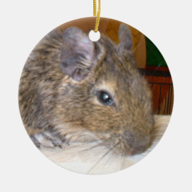 Adorno De Cerámica Degu Relaxing I Love Degus Ornament (Frente)