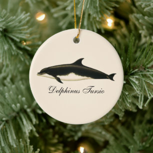 Adorno De Cerámica Delfines Delphinus Tursio, Animales Marinos Antigu