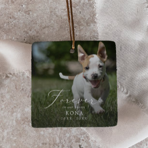 Adorno De Cerámica Delicado Mascota de fotografía superpuesta en fest