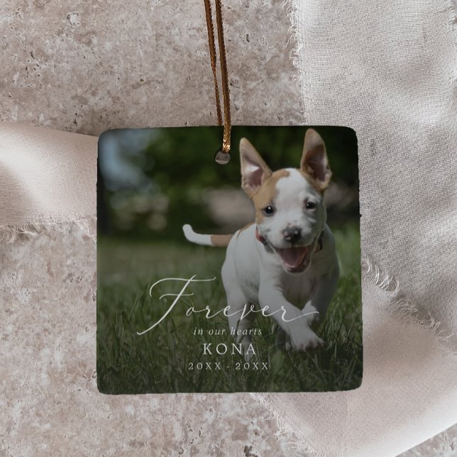 Adorno De Cerámica Delicado Mascota de fotografía superpuesta en fest (Subido por el creador)