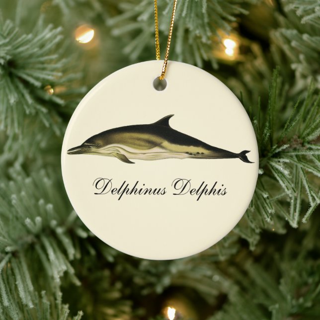 Adorno De Cerámica Delphin Delphinus Delphis, mamíferos marinos vinta (Árbol)