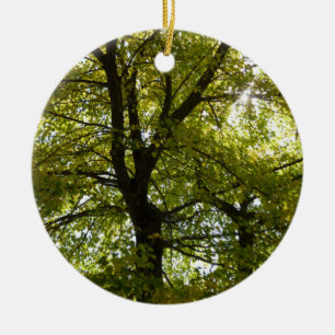 Adorno De Cerámica Dentro de un árbol de arce amarillo otoño