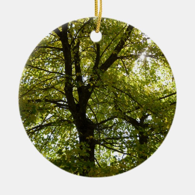 Adorno De Cerámica Dentro de un árbol de arce amarillo otoño (Frente)