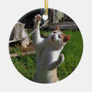 Adorno De Cerámica Depredador feroz