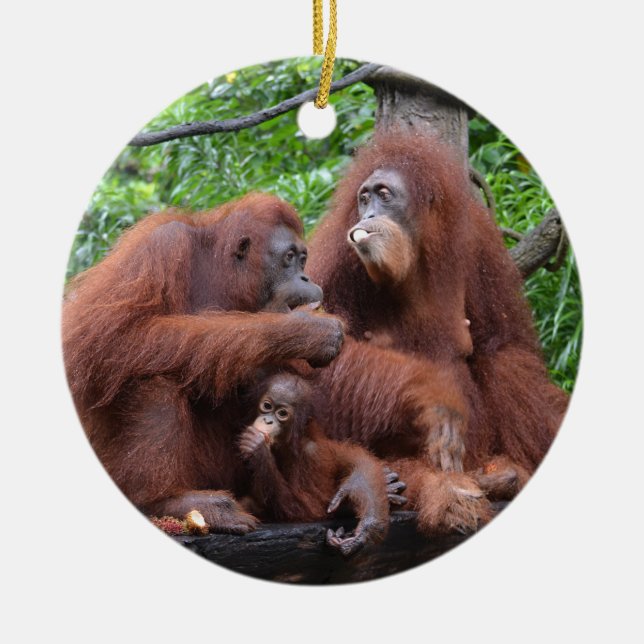 Adorno De Cerámica Desayuno con el Zoológico de Orangutans Singapur (Frente)
