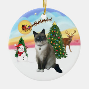 Adorno De Cerámica Despegar - Gato de zapatos de nieve