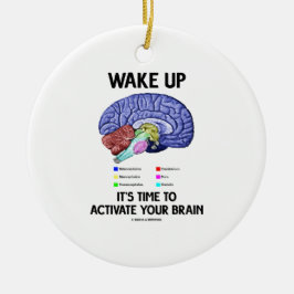 Adorno De Cerámica Despiértelo es hora de activar su cerebro (el