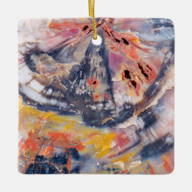 Adorno De Cerámica Detalle de madera Petrificada, Arizona (Anverso)