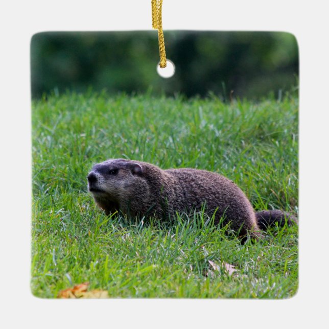 Adorno De Cerámica Devil's Hole Digger (Anverso)