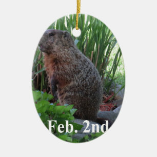 Adorno De Cerámica Día de la Marmota
