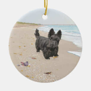 Adorno De Cerámica Día de la playa