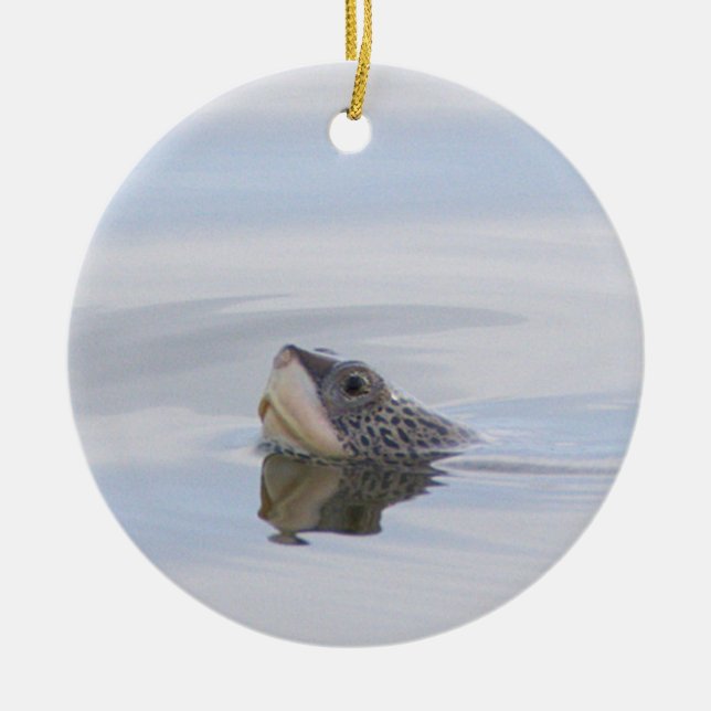 Adorno De Cerámica Diamondback Terrapin Turtle Face Ornament  (Frente)