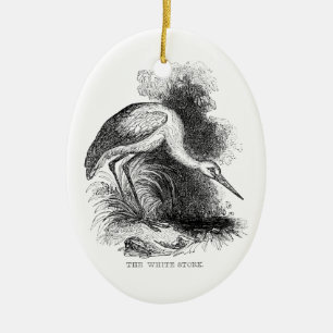Adorno De Cerámica Dibujo de fauna silvestre de ave vintage Cigüeña b
