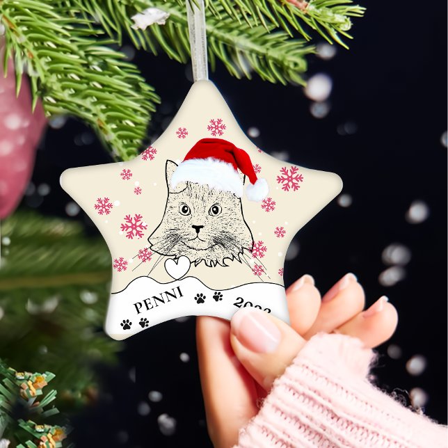 Adorno De Cerámica Dibujo manual personalizado de Maine Coon Cat (Subido por el creador)