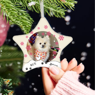 Adorno De Cerámica Dibujo manual personalizado de perro espitz alemán