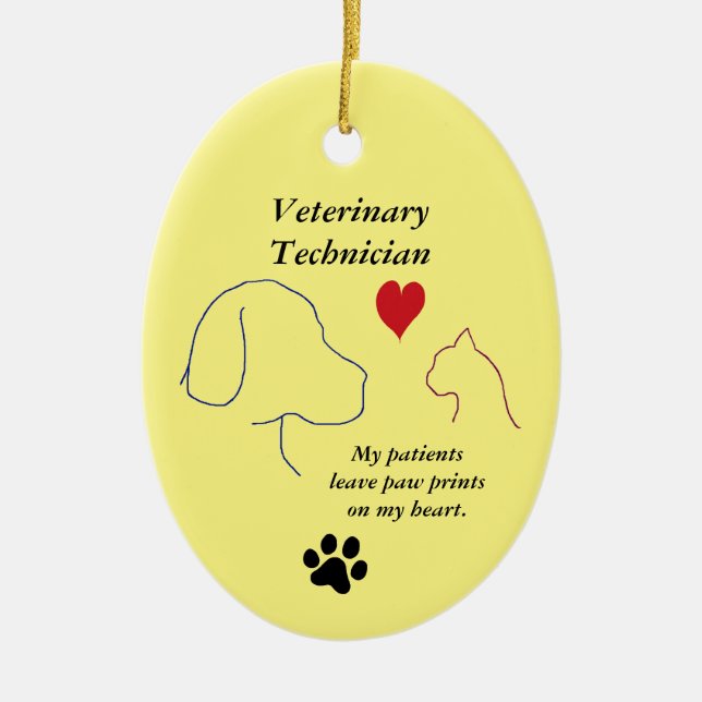 Adorno De Cerámica Dibujos de pintura de técnico de veterinaria en mi (Frente)