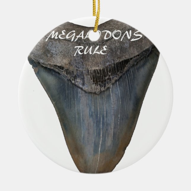 Adorno De Cerámica Diente del tiburón de Megalodon (Frente)