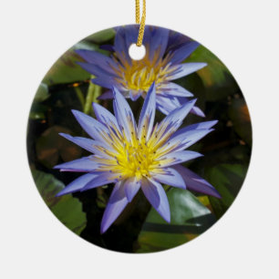 Adorno De Cerámica Diseño Botánico Floral de Nenúfar Tropical