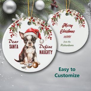 Adorno De Cerámica Divertido cachorro Boston Terrier Define Travieso 