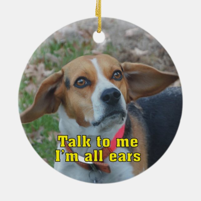 Adorno De Cerámica Divertido hablar conmigo soy todo el oso (Atrás)