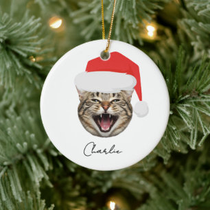 Adorno De Cerámica Diviértete con la Cara de Gato Personalizada y Nom