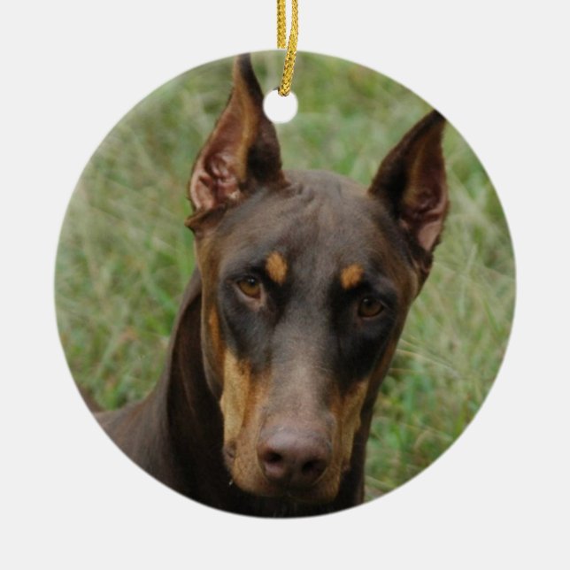 Adorno De Cerámica Dobermanes (Frente)