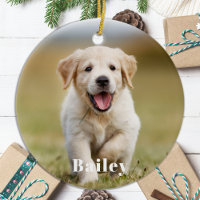 Dog Lover Personalizado Moderno Mascota simple fot