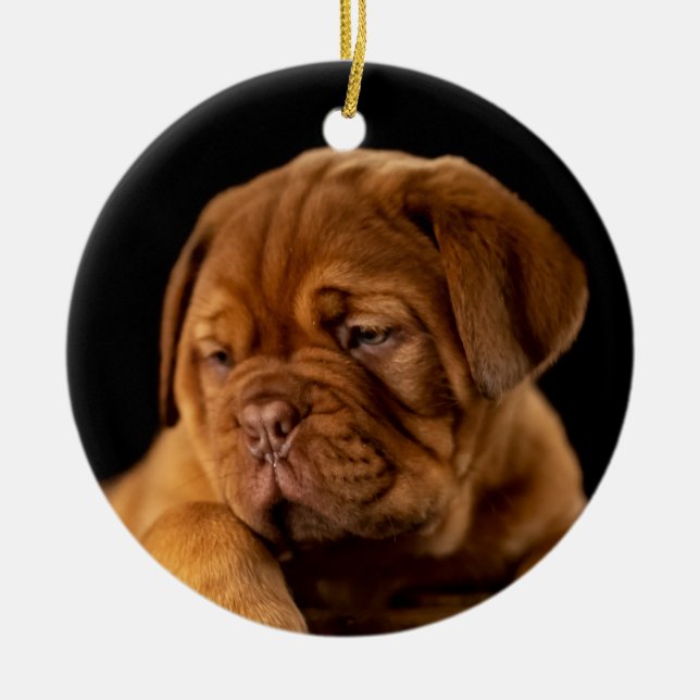 Adorno De Cerámica Dogue de Burdeos - Mastiff Francesa (Frente)