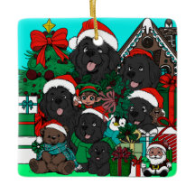 ¿Dónde está (Waldo) Newfy? (Rojo)