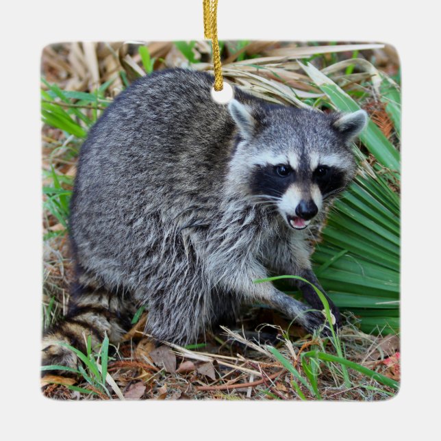 Adorno De Cerámica Don't Mind Me, Just Passing Through (Anverso)