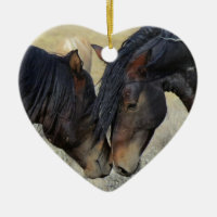 Dos caballos salvajes marrones desconcertando