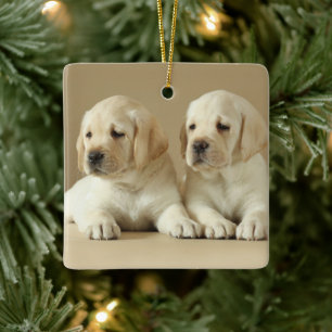 Adorno De Cerámica Dos Cachorros Labrador Dorados