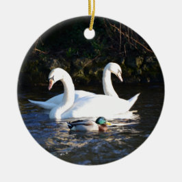 Adorno De Cerámica Dos cisnes y un pato