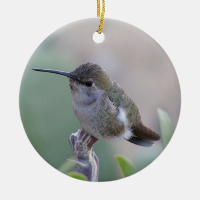 Adorno De Cerámica Dos colibríes (Frente)