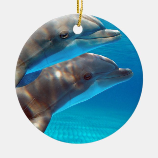 Adorno De Cerámica Dos delfínes que nadan (Frente)