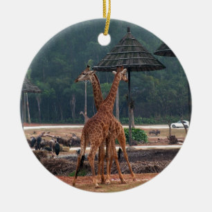 Adorno De Cerámica Dos jirafas consolándose mutuamente en un zoológic