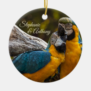 Adorno De Cerámica Dos Loros Aves Tropicales