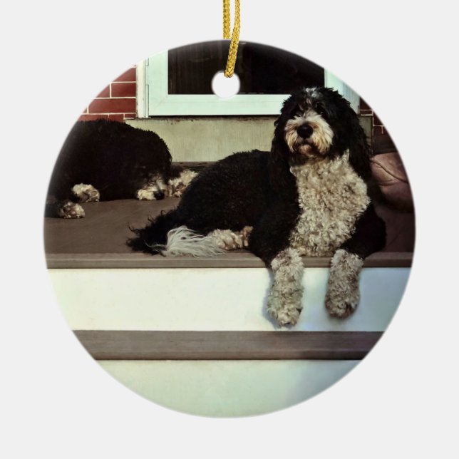 Adorno De Cerámica Dos Sheepadoodles En Porche (Frente)